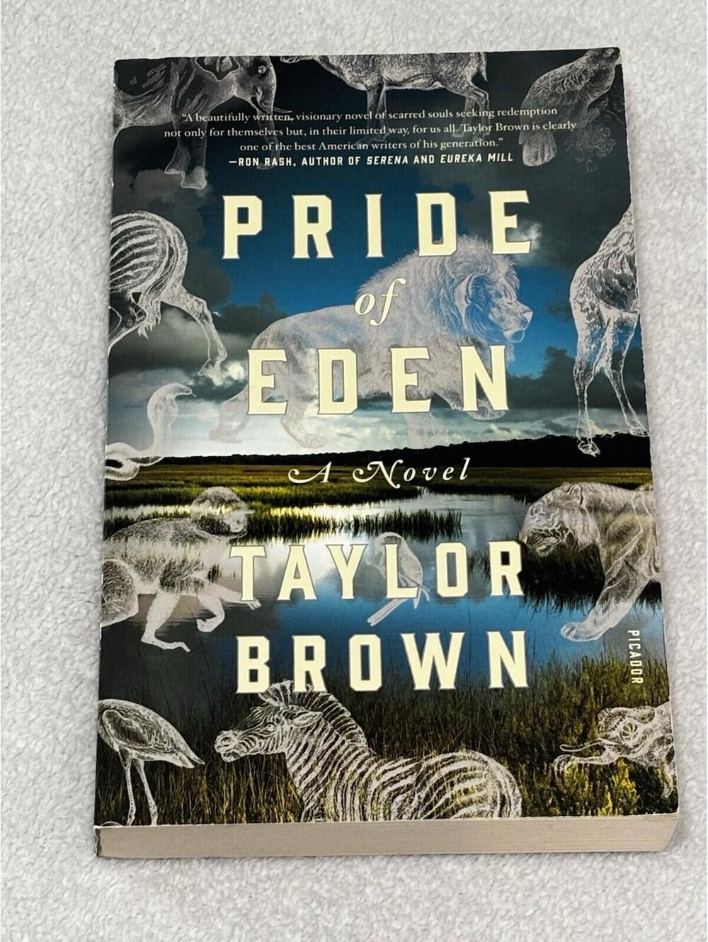 Pride of Eden by Taylor Brown || Paperback